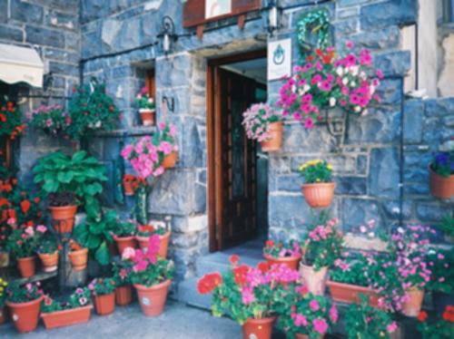 Casa Herrero Oto Rum bild